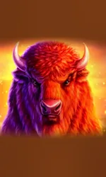 Buffalo 50